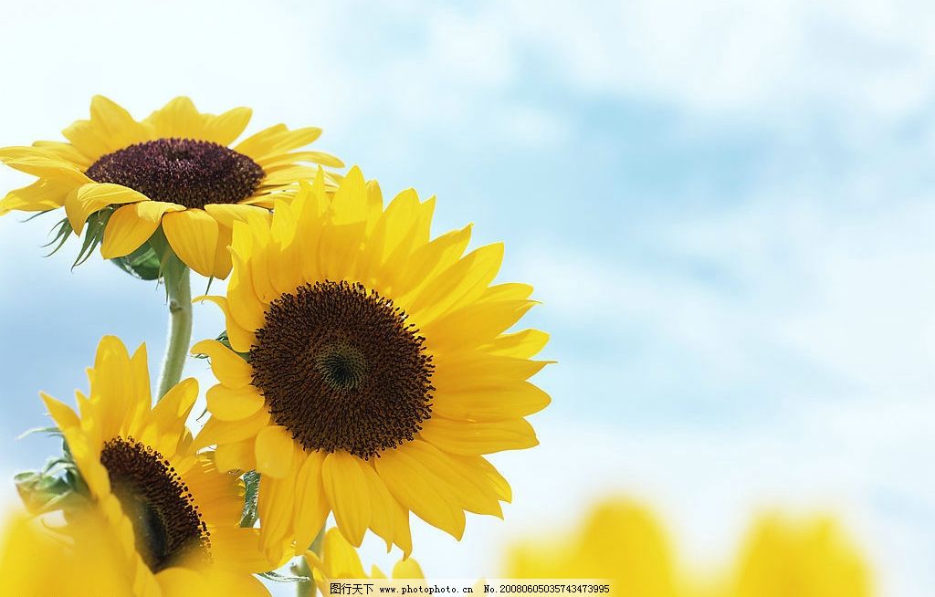 黄色工作总结ppt下载_ppt模板_wps稻壳儿